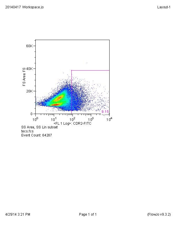 CDR2 Antibody [DyLight 488] NB110-58345G